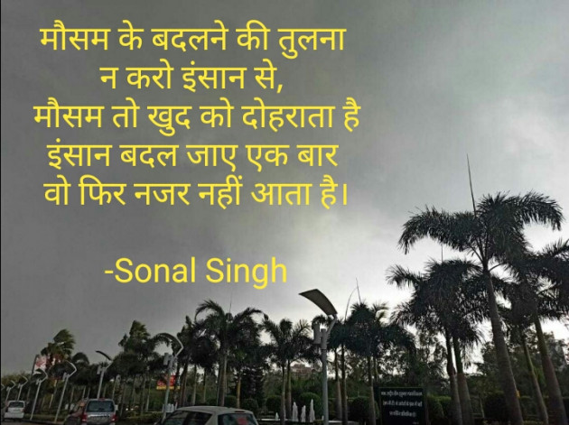 Hindi Shayri by Sonal Singh Suryavanshi : 111660485