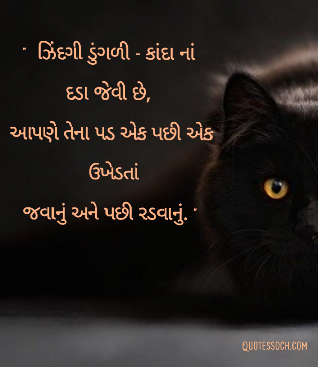 Gujarati Quotes by Quotessoch.com : 111660686