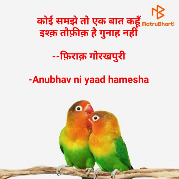 Hindi Good Morning by Anubhav ni yaad hamesha : 111660908