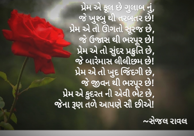 Gujarati Blog by Sejal Raval : 111661102