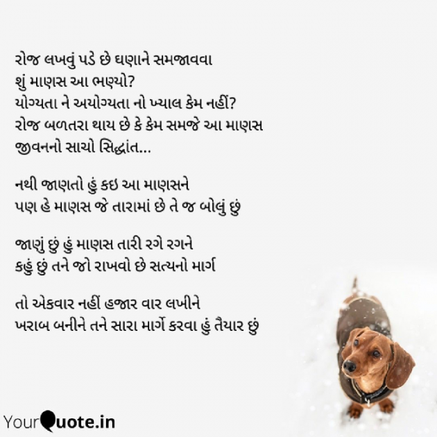 Gujarati Thought by Ravi Lakhtariya : 111661344