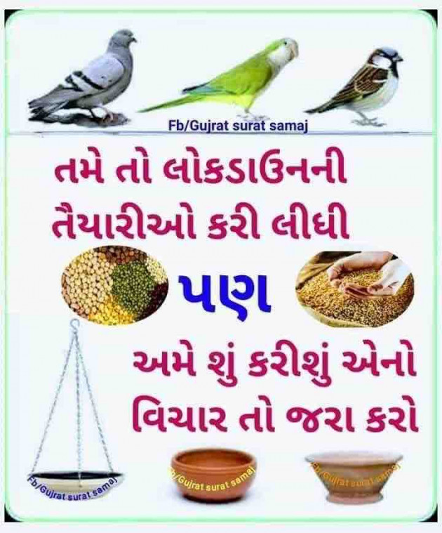 Gujarati Quotes by M shah : 111661601