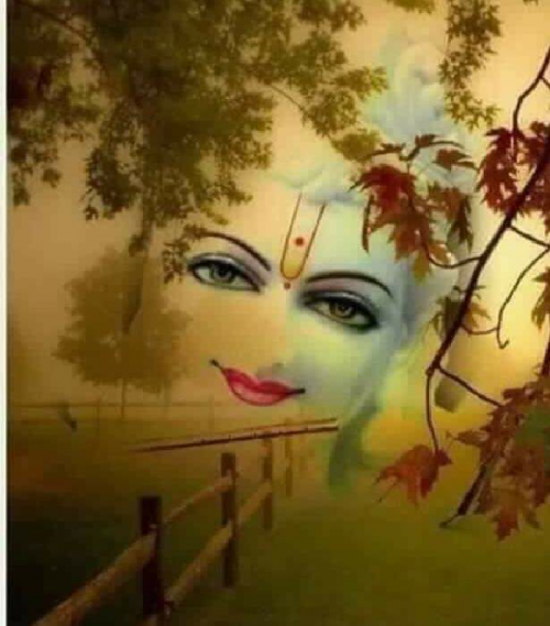 Post by Bhavesh Prajapati on 16-Feb-2021 03:32pm