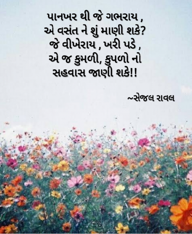Gujarati Blog by Sejal Raval : 111662346