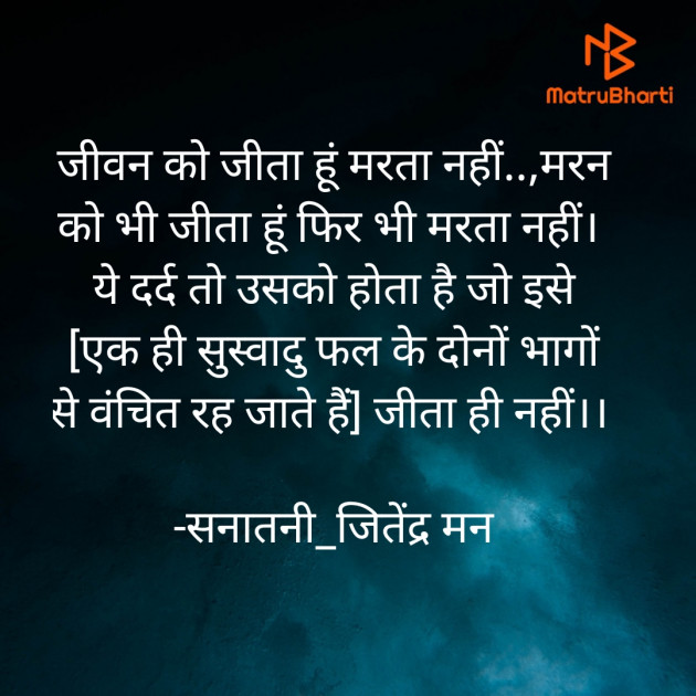 Hindi Blog by सनातनी_जितेंद्र मन : 111662738