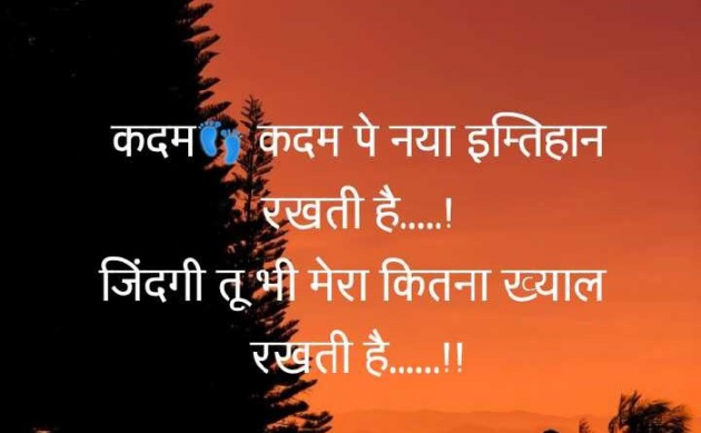 Hindi Blog by Zainab Makda : 111662854
