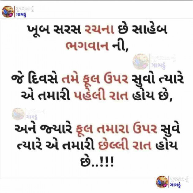 Gujarati Quotes by M shah : 111663169