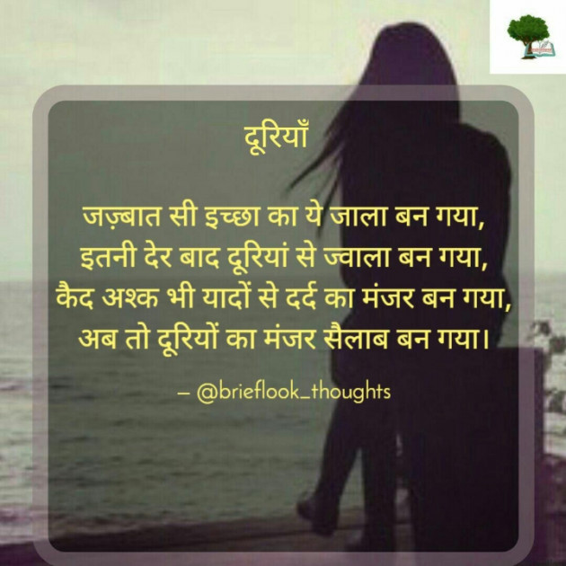 English Shayri by brieflook_thoughts : 111663283