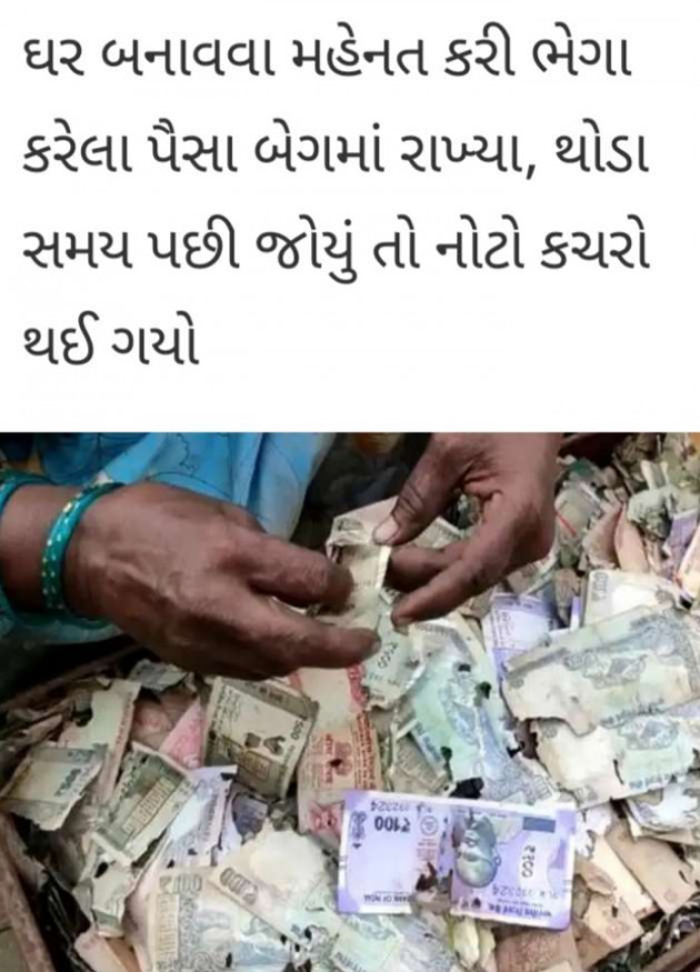 Gujarati News by Harshad Patel : 111663496