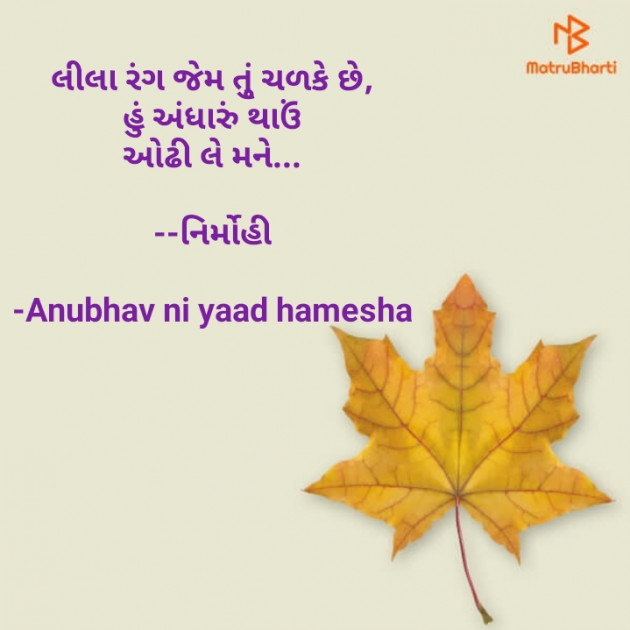 Gujarati Good Night by Anubhav ni yaad hamesha : 111664049