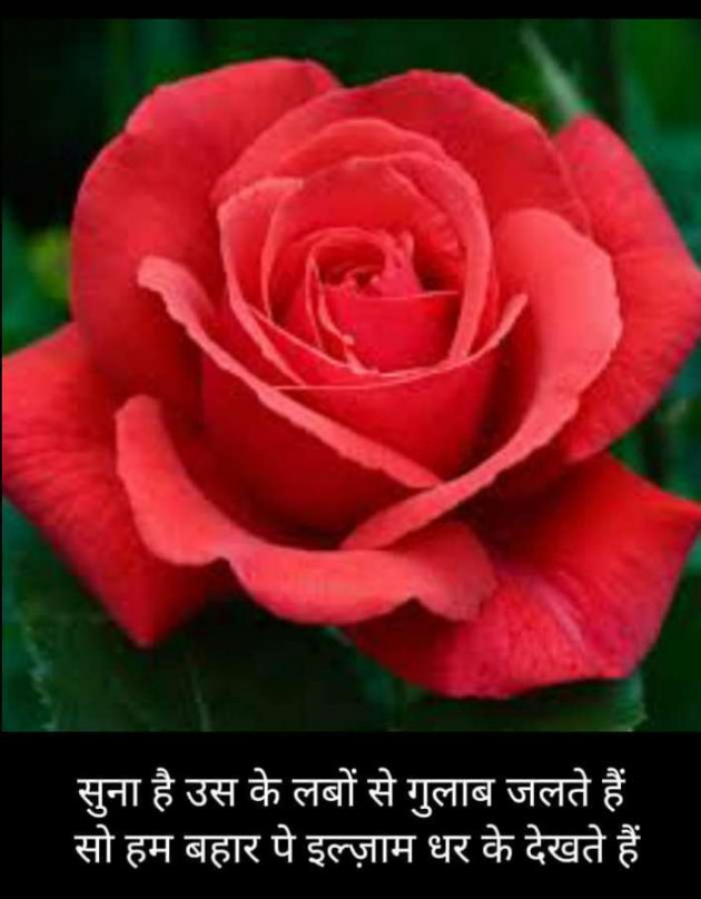 Hindi Blog by Kumar Rahman : 111664262
