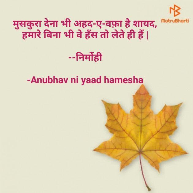 Hindi Good Night by Anubhav ni yaad hamesha : 111664517