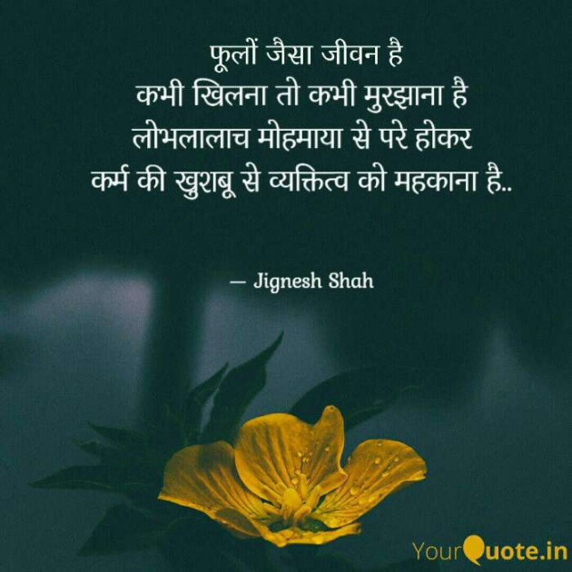 English Quotes by Jignesh Shah : 111664812