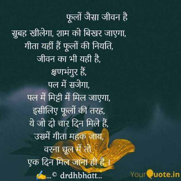 Hindi Blog by Dr. Damyanti H. Bhatt : 111664995