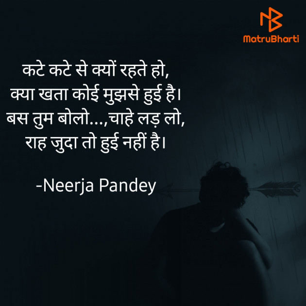 Hindi Microfiction by Neerja Pandey : 111666011