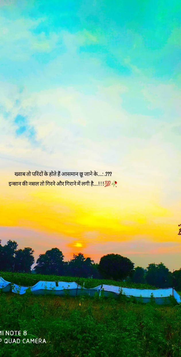 Gujarati Shayri by Vikram Makwana : 111666067