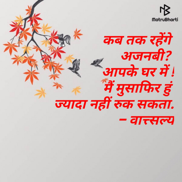 Hindi Good Evening by वात्सल्य : 111666502