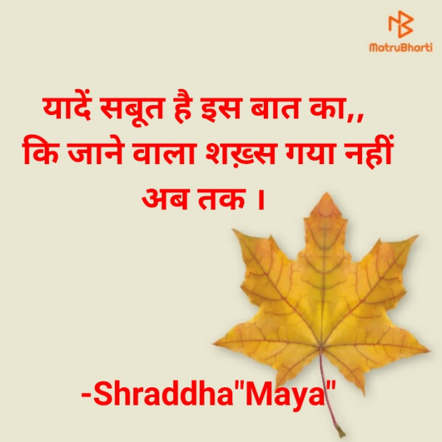 Hindi Blog by Shraddha : 111666848
