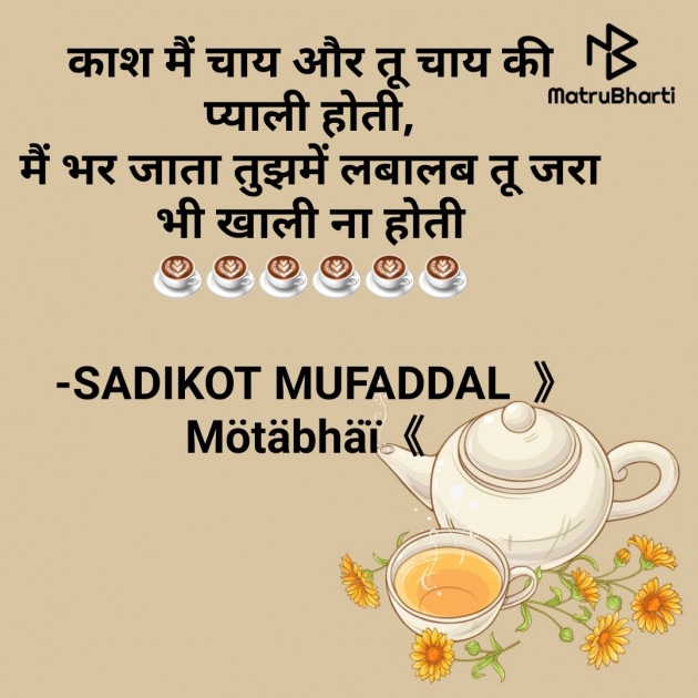 Hindi Good Evening by SADIKOT MUFADDAL 《Mötäbhäï 》 : 111666972