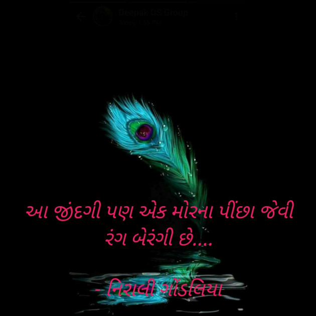 Gujarati Motivational by Darshan Gondaliya : 111667002