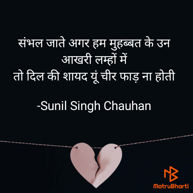 Hindi Blog by Sunil Singh Chauhan : 111667235