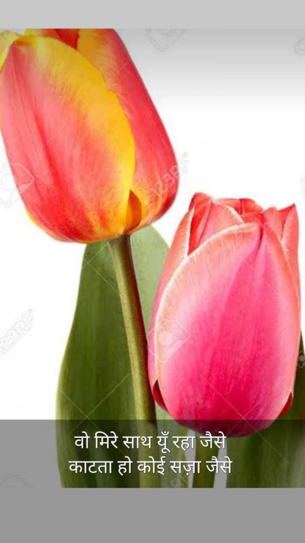 Hindi Blog by Kumar Rahman : 111667249