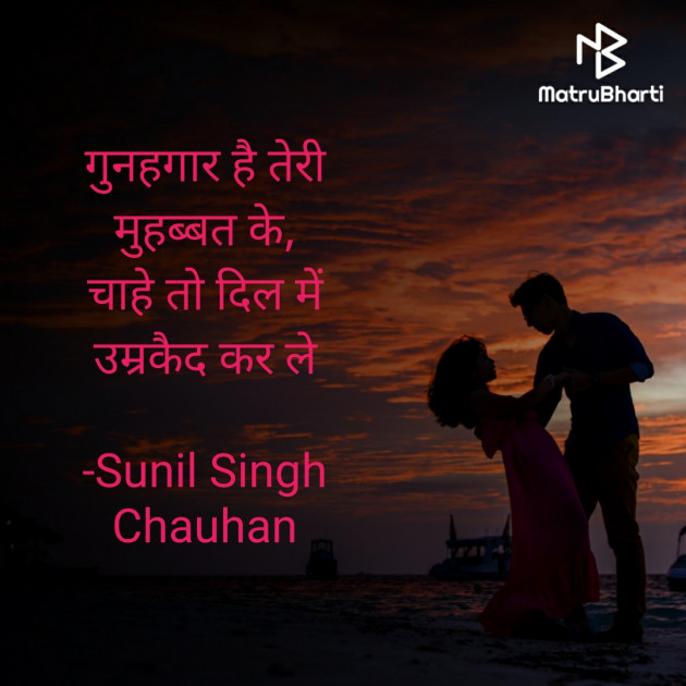 Hindi Blog by Sunil Singh Chauhan : 111667275