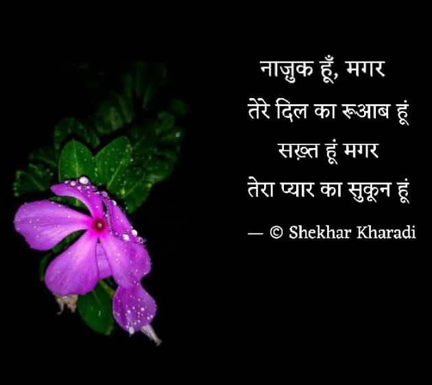 Hindi Shayri by shekhar kharadi Idriya : 111667388