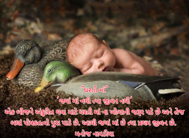 Gujarati Quotes by મનોજ નાવડીયા : 111667743