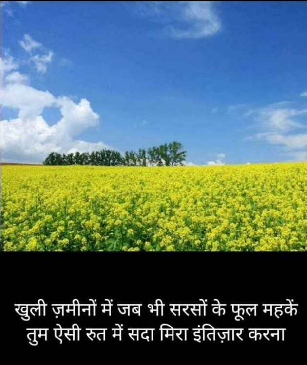 Hindi Blog by Kumar Rahman : 111667882