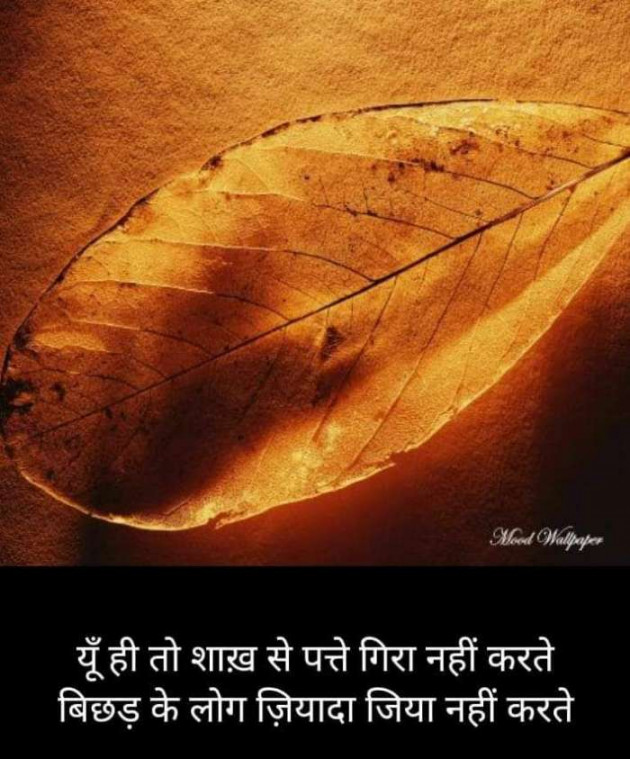 Hindi Blog by Kumar Rahman : 111668266