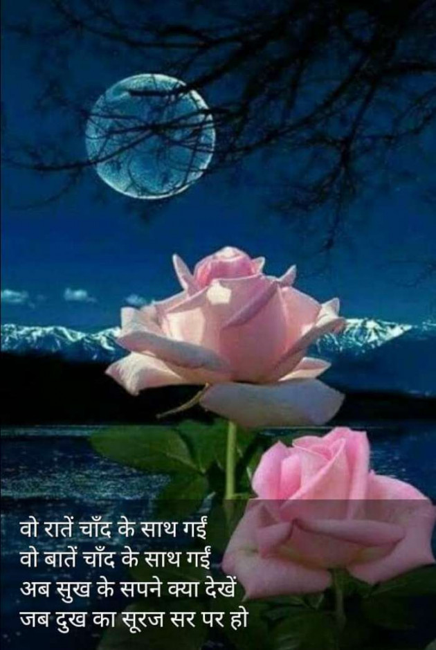 Hindi Blog by Kumar Rahman : 111668697