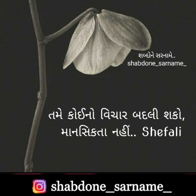 Gujarati Whatsapp-Status by Shefali : 111668730