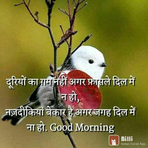 Hindi Good Morning by RACHNA ROY : 111668779
