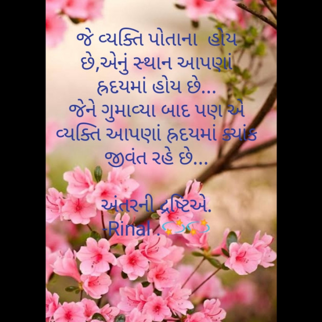 Gujarati Good Night by Rinal Patel : 111669177