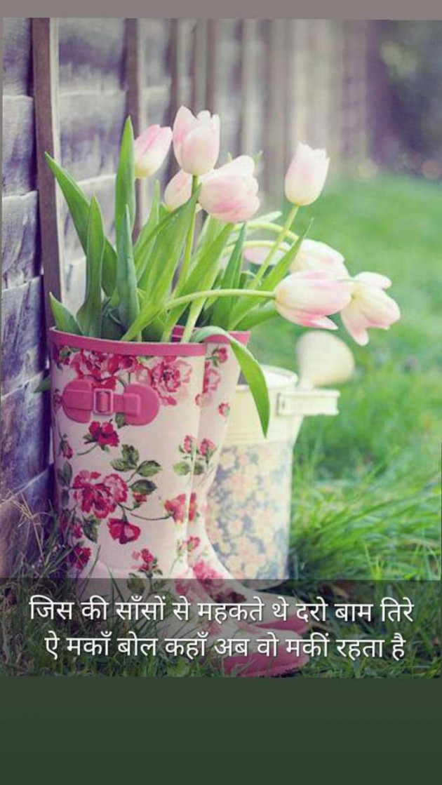 Hindi Blog by Kumar Rahman : 111669396