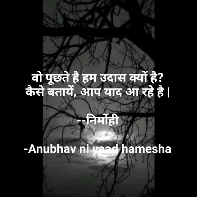 Hindi Good Night by Anubhav ni yaad hamesha : 111669633