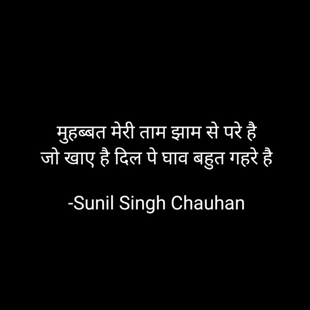 Hindi Blog by Sunil Singh Chauhan : 111669851