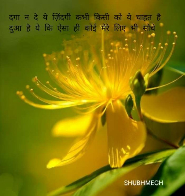 Hindi Whatsapp-Status by SUBHASH : 111670660