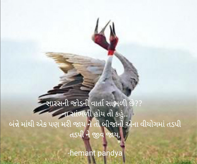 Gujarati Tribute by Hemant Pandya : 111670673