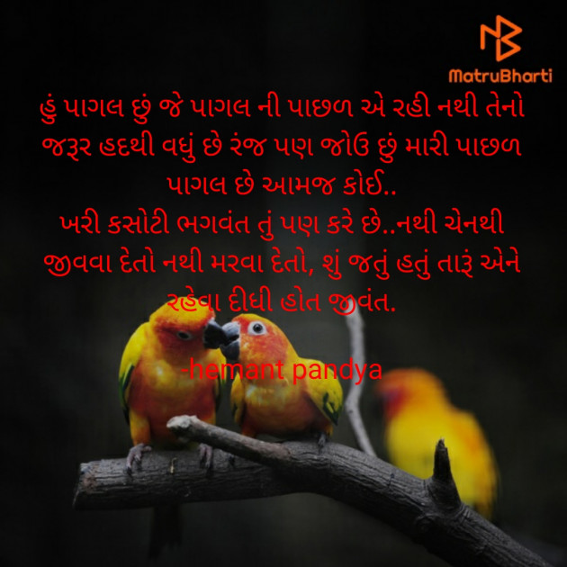 Gujarati Tribute by Hemant Pandya : 111670711