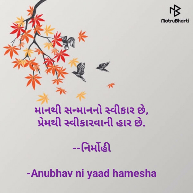 Gujarati Good Night by Anubhav ni yaad hamesha : 111670868