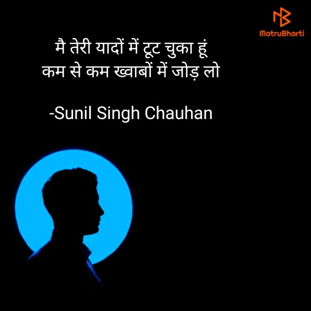 Hindi Blog by Sunil Singh Chauhan : 111670943