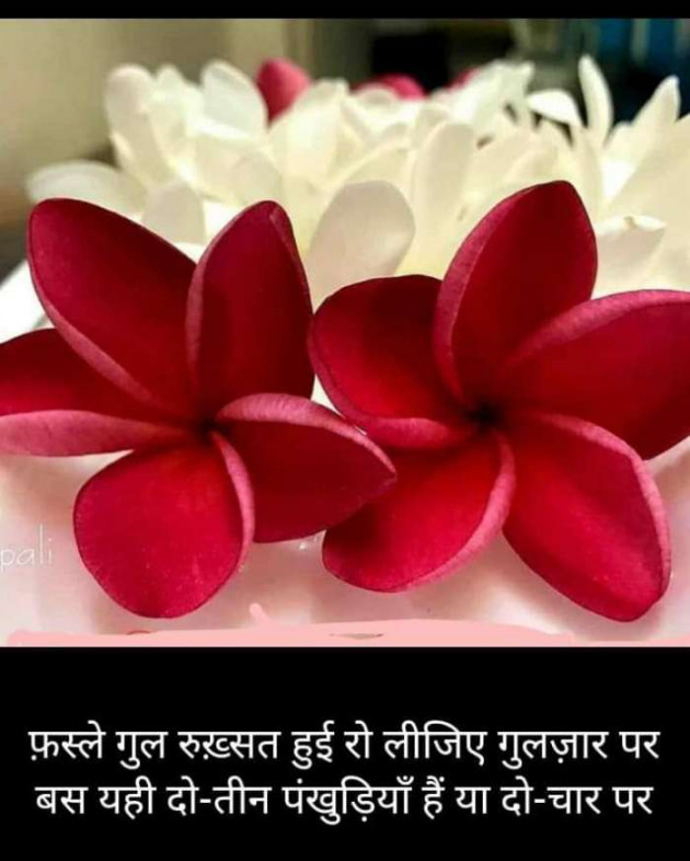 Hindi Blog by Kumar Rahman : 111670950