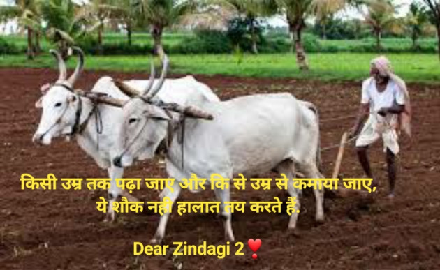 Hindi Blog by Dear Zindagi 2 : 111671375