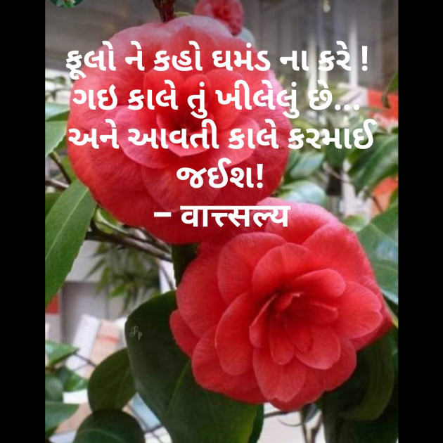 Gujarati Good Night by वात्सल्य : 111671431