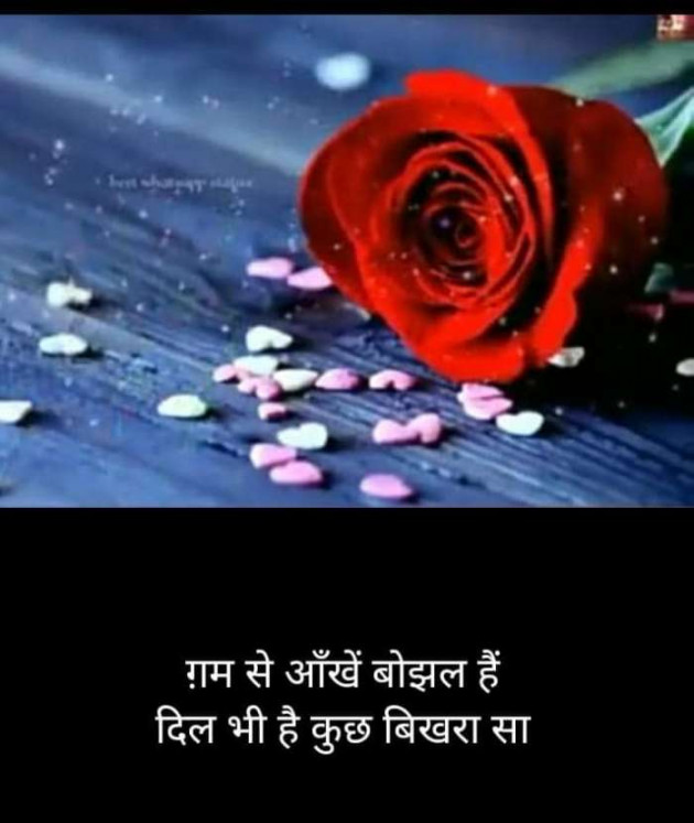 Hindi Blog by Kumar Rahman : 111671545