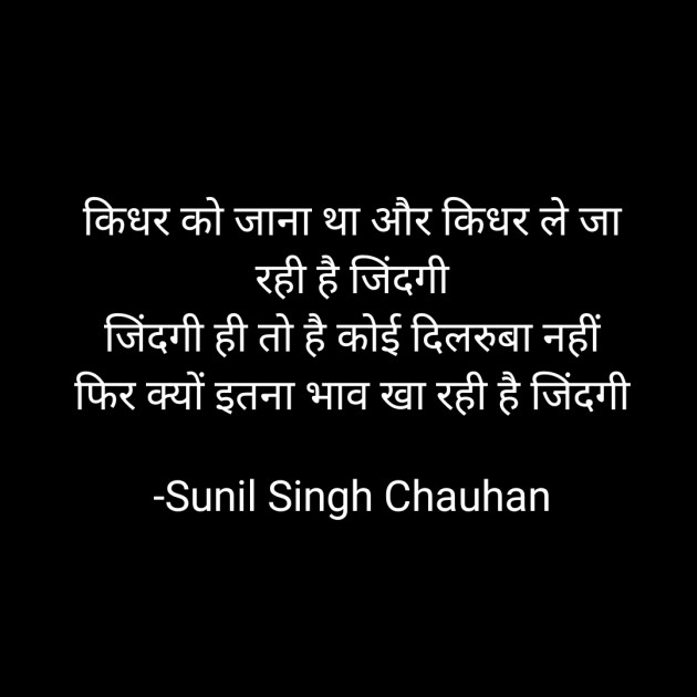 Hindi Blog by Sunil Singh Chauhan : 111671659