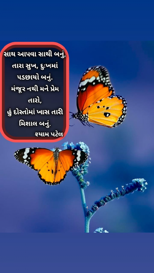 Gujarati Shayri by Shyam Patel : 111671721