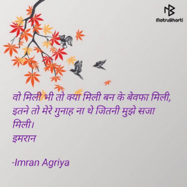 Hindi Shayri by Imran Agriya : 111672431